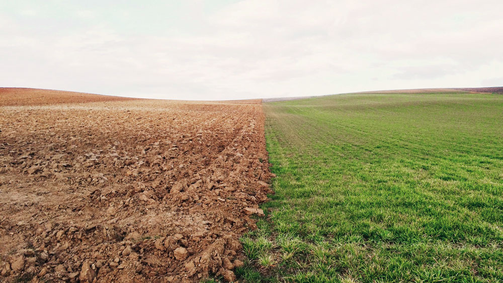 10-trends-on-the-Climate-and-Energy-Agenda