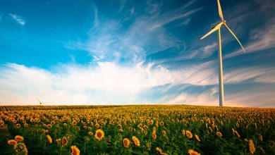 5-Reasons-to-Switch-to-Renewable-Energy