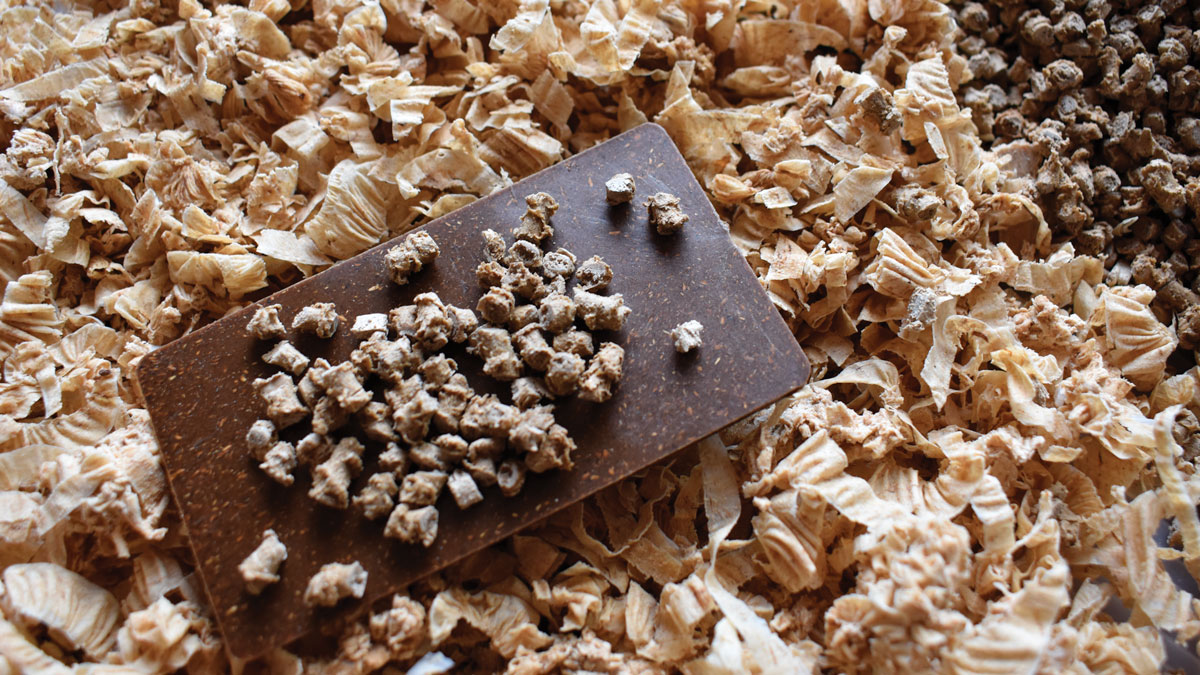 BIOPLASTICS-The-Best-of-the-Bad