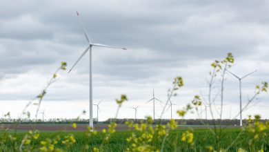 EBRD-Supports-Renewable-Investments-in-Romania
