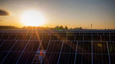 Green-Genius-to-Invest-over-EUR-450-mln-in-Photovoltaic-Parks-in-Romania