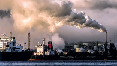 Industrial-Emissions-Re-endorsement-of-Rules-for-Large-Combustion-Plants-to-Reduce-Air-Pollution