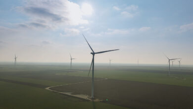 Landmark-Wind-Energy-Project-in-Botosani