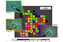 minamitorishima_nodule_density