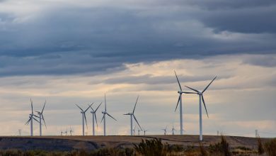 More-than-EUR-5bn-in-Non-reimbursable-Financing-Projects-to-Come-to-Market-in-H1-2024