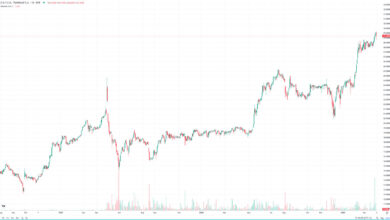 Transgaz-Shares-Up