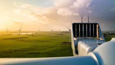 Vestas-Secures-60-MW-Order-in-Romania