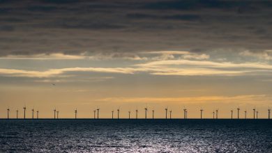 wpd-offshore-Helps-to-Promote-the-Development-of-Offshore-Wind-Energy-in-Romania